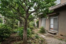 家を売却するとき庭木はどうする？残すか処分するかの判断基準と処分方法を解説