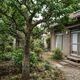 家を売却するとき庭木はどうする？残すか処分するかの判断基準と処分方法を解説